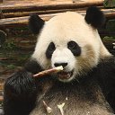 ���� ����. ��������� �� ��!, ������, 72 ���� - ��������� 27 ����� 2011 � ������ ��������߻