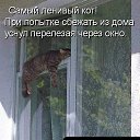  ,  -  19  2009     