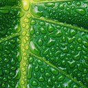 ���� ����� - ���������� ��������!!!, �����������, 56 ��� - ��������� 4 ������ 2010 � ������ �����ۻ