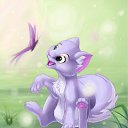 ���� �� ������� �������