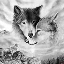 ���� ������, ��������, 39 ��� - ��������� 16 �������� 2012