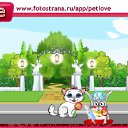  , , 38  -  22  2010   PetLove