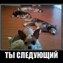 ���� ��������, ��������� - ��������� 14 ���� 2012 � ������ ���� ����������