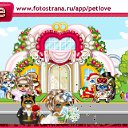  , , 40  -  24  2010   PetLove