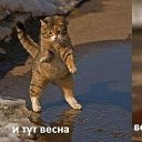 ���� ����, ��������� - ��������� 17 ������ 2013 � ������ ������ ��������