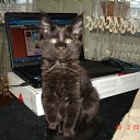 ���� �������, ���������, 49 ��� - ��������� 4 ����� 2011 � ������ �Magnificent�