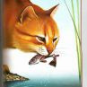  Catherine, -, 24  -  22  2010   -