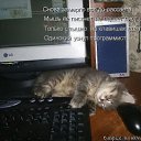 ���� ��������, ������ - ��������� 27 �������� 2010 � ������ ���������!!!�