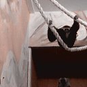 ���� ������, ������, 57 ��� - ��������� 12 ���� 2012