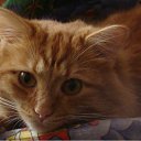 ���� �������, �����-��������� - ��������� 3 ������� 2011 � ������ ������� ���!�