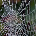 ���� ������, ����� - ��������� 8 ���� 2010 � ������ ����������