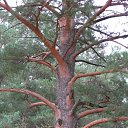 ���� �����, ��������, 45 ��� - ��������� 3 ������� 2010 � ������ ����� �������