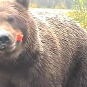 ���� ��������, ���������, 70 ��� - ��������� 15 ����� 2013 � ������ �� ������ � ��������� �����