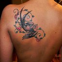 ���� ����, ������ - ��������� 15 ������� 2012 � ������ ���� ����������
