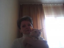 �������, ����������, 53 ����