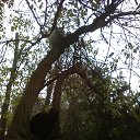 ���� Dark Snow, ������, 47 ��� - ��������� 2 ������� 2012 � ������ �����ܻ