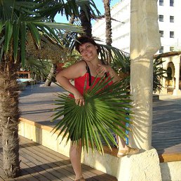 ������, �������, 49 ���