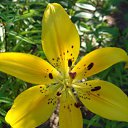 ���� ������, ������, 63 ���� - ��������� 5 ������� 2011 � ������ ������-���� �����-2�