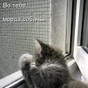 ���� �����, ������� - ��������� 22 ������ 2013 � ������ ������� ���� �������)))�