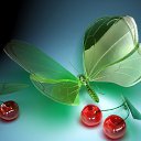 ���� �������, ��������, 44 ���� - ��������� 22 ������ 2010 � ������ ��� ����� ��������.�