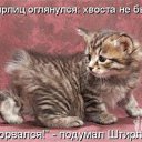 ���� ����, ����, 25 ��� - ��������� 31 ������� 2011 � ������ �Avataria�