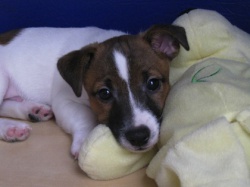 ���� ������, ������, 48 ��� - ��������� 2 ���� 2012