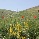 ���� ����������, ����, 75 ��� - ��������� 17 ������ 2012 � ������ �����-3�