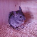 ��� �������� ������� )))