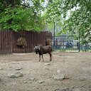  , , 53  -  11  2010     )))