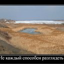  , , 49  -  25  2011   -