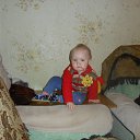  ( ),  -  17  2011   PetLove