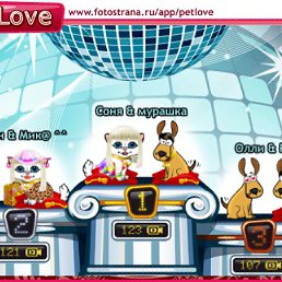 ���� �����, ������, 38 ��� - ��������� 4 ������� 2010