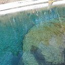 ���� ����, �����������, 44 ���� - ��������� 28 ����� 2011 � ������ ���� �� � ������