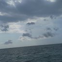  Devil, , 39  -  8  2011   )))