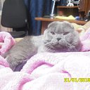 ���� ������, ��������, 48 ��� - ��������� 24 ������ 2013 � ������ ���� ��������