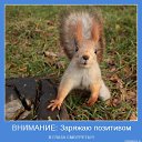 ���� Aksi=))), ������ - ��������� 6 ������� 2010 � ������ �����������=))�