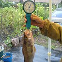 �������� ����� �� ������� �������