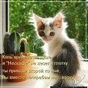 ���� ������, �����������, 48 ��� - ��������� 14 ����� 2011 � ������ �������