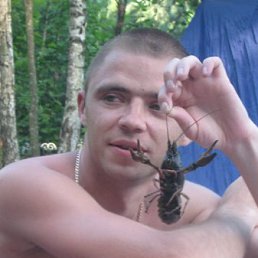 , 43, 