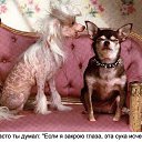 ���� ������, �������, 33 ���� - ��������� 11 ������ 2012 � ������ �...�