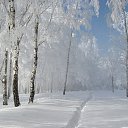 ���� �����, ����, 48 ��� - ��������� 3 ������ 2013 � ������ ���������� �����