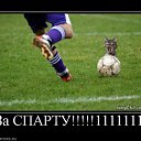 ���� �������, ������, 39 ��� - ��������� 23 ������� 2010 � ������ ��������������