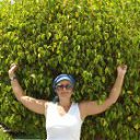 ���� ����, ����������, 61 ��� - ��������� 8 ���� 2013 � ������ ���� ����������