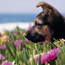 ���� Orange_juice, ������, 31 ��� - ��������� 29 ����� 2011 � ������ �������