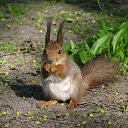 ���� �������, ������ - ��������� 23 ������� 2012 � ������ ���� ����������