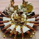 ���� ���������, ������, 41 ��� - ��������� 23 ������� 2013