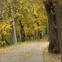  Denis, , 46  -  28  2012   