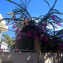 ���� �����, �����, 26 ��� - ��������� 7 ������ 2010 � ������ �����������������������������������������������������������������������������������������������������������������������������������������������������������������������������������������������������������������������������������������������������������������