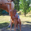 ���� ���������, ���� - ��������� 18 ������� 2012 � ������ ���� ����������