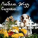 ���� ������, ����, 46 ��� - ��������� 8 �������� 2012 � ������ �������